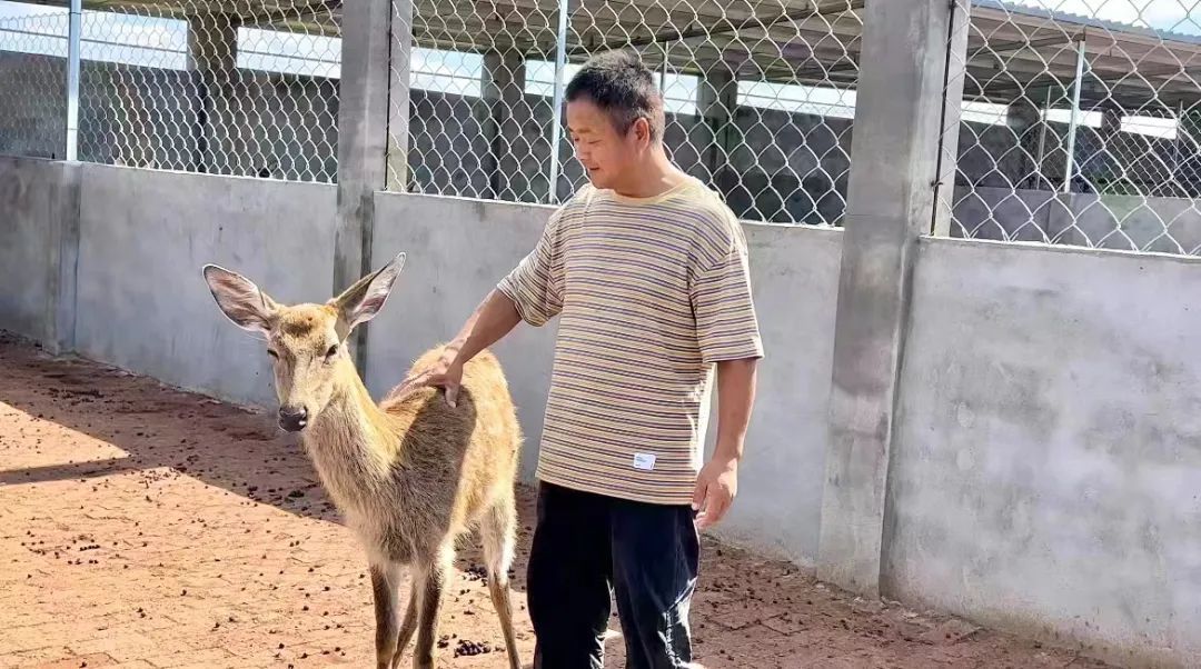 永利国际电子