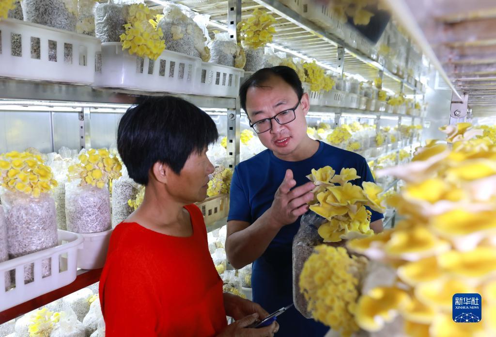 快乐牛牛官网下载
